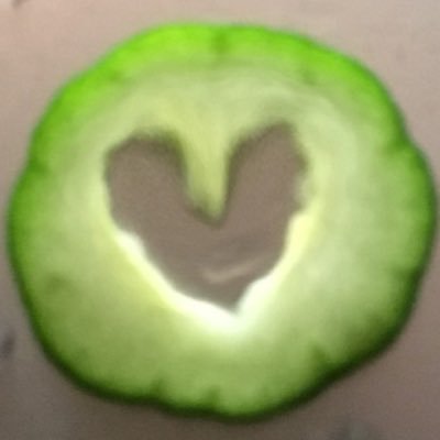 特に何も無いので、適当につぶやいたりするかもです♪ どうぞよろしくです( *˙ω˙*)و ｸﾞｯ!「塩たん(*´👅`*)推し♪」