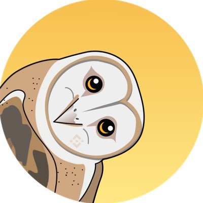 OVO is an open source, peer-to-peer digital asset on the BNB Smart Chain that is popular among meme coin enthusiasts around the world.

#HOOT_HOOT