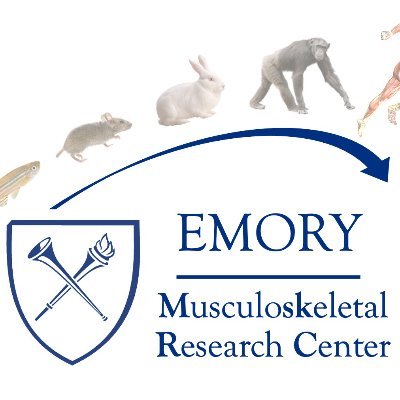 Multidisciplinary team of investigators spanning basic, translational, applied, and clinical research at Emory University.