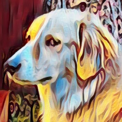 unestablekwon's profile picture. 