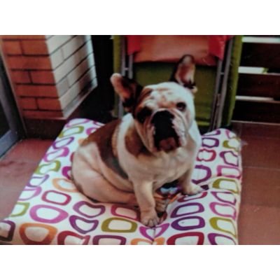 Aitor_Vil's profile picture. 