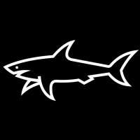 Sharky 🦈(@ShoxruxKudratov) 's Twitter Profile Photo