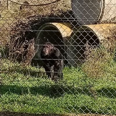 PuellTeresa's profile picture. 