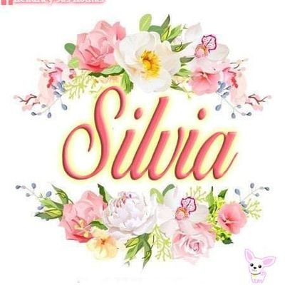 Silvia_LopezR's profile picture. 