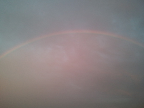 SunBeanKim's profile picture. 세치혀의힘