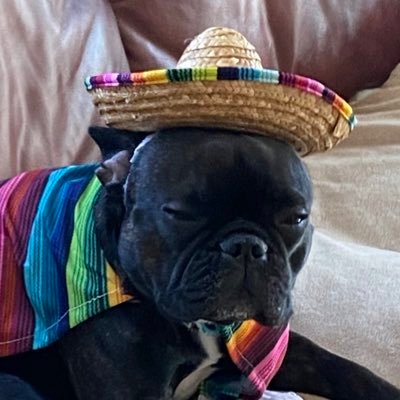 StepBow_'s profile picture. a xbow player who gets no girls with a pb of 7306