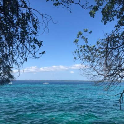 Hanan2409's profile picture. doctor,writer, gym photography traveler Mountains Sports Children hate comfort zones, humanitarian work,outdoor education ecotherapy , holistic medicine