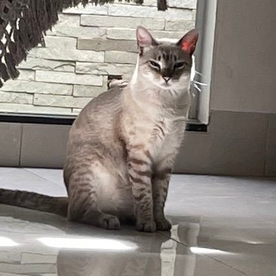 fulanaAFCC's profile picture. 🏳️‍🌈