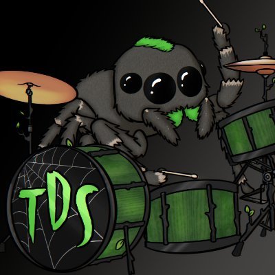 TheDrummingSpider