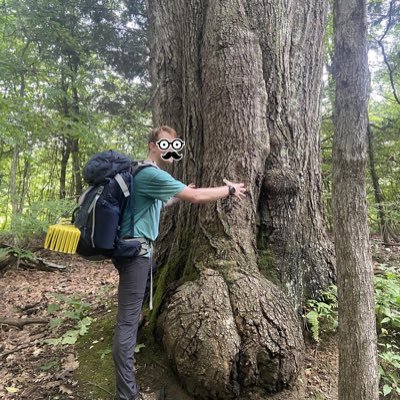 groantube_noise's profile picture. 