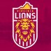 Virginia Lions Aussie Rules Football Club 🇺🇸 (@VAfooty) Twitter profile photo