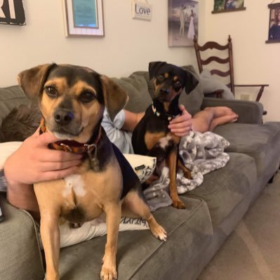 CaulMichael's profile picture. 