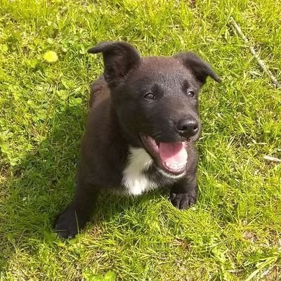 JimLoves2Paint's profile picture. 