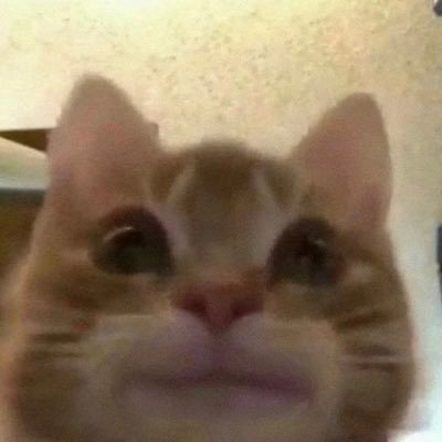 ithe22egg's profile picture. 