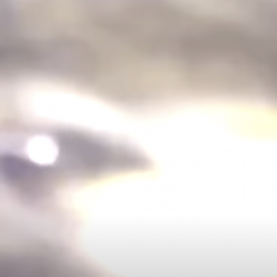 squidward2958's profile picture. erwjpjo