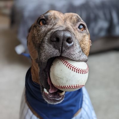 andrewjay93's profile picture. I usually just retweet Brewers and Movie stuff