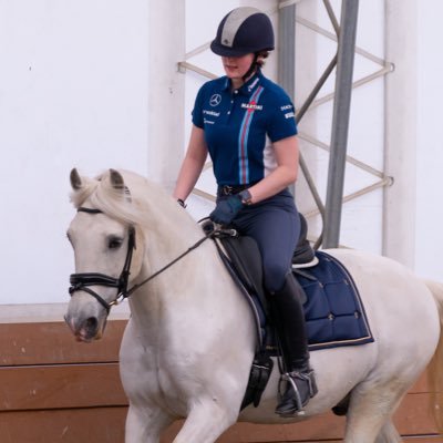 security @stripe // previously @nuharbor // dressage rider // hunting cyber threats