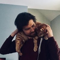 Darren Orf (@darrenthewalrus) 's Twitter Profile