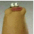 sara7736's profile image