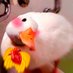 Mr.duck -Busy *” (@natnicha_payll) Twitter profile photo Mr.duck -Busy *” (@natnicha_payll) Twitter profile photo