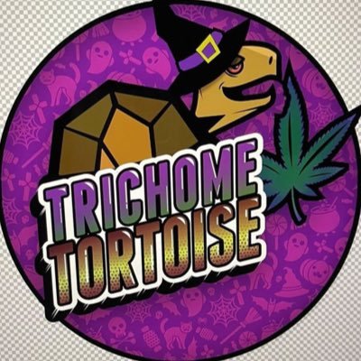 #PurpleMeltGod IG: @trichome_tortoise__