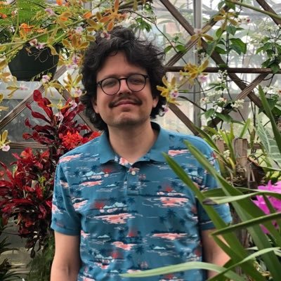 thecleav's profile picture. 🎹🪗