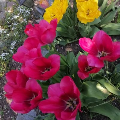 Lidia03690965's profile picture. 