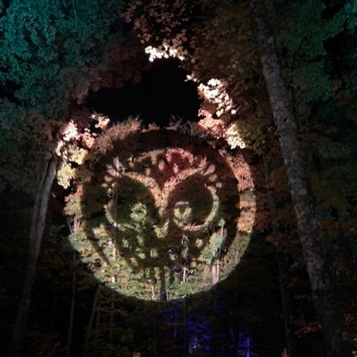 yifanshi_08's profile picture. 