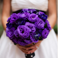 The Practical Brides (@practicalbrides) 's Twitter Profile