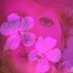 Kele Fleming 🎶 (@tinforest) Twitter profile photo Kele Fleming 🎶 (@tinforest) Twitter profile photo