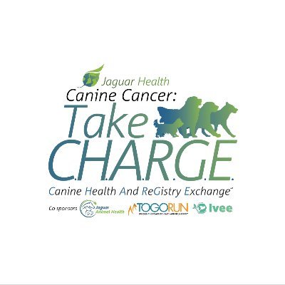 Take C.H.A.R.G.E. Profile