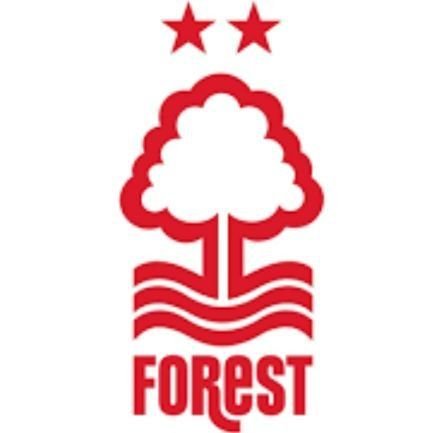 NForestForever Profile Picture