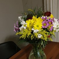 Ginzberg (@ginzbergg) 's Twitter Profile