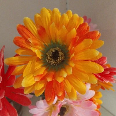 Ayers_20180425's profile picture. 2025.3（Famm WEBデザイン ママ).AI猛勉強中📖在宅ワークしたい！！！