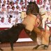 Tercio de Varas (@defrenteyporde2) Twitter profile photo Tercio de Varas (@defrenteyporde2) Twitter profile photo