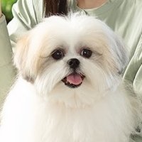 衣 (@3coro_) 's Twitter Profile