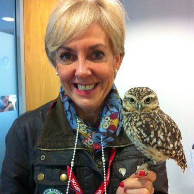 Owl Therapy🤔 - innovative programmes #mentalhealth #wellbeing #neurodiversity through interaction with 🦉 🐶🌳🚂 #coach #psychologist #research