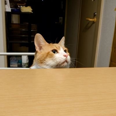 SESishikawa's profile picture. SES営業歴は8年目
お打ち合わせなどはDMでお願いします。