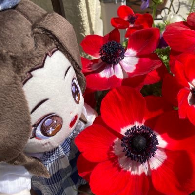 競走馬さん、シドさんが好きです😊 推しが素敵曲作ったきっかけで天官賜福の底なし沼に…MXTX関連と🐎の無言フォロー申し訳ございません🙏静かに見守らせて頂いてます!20↑