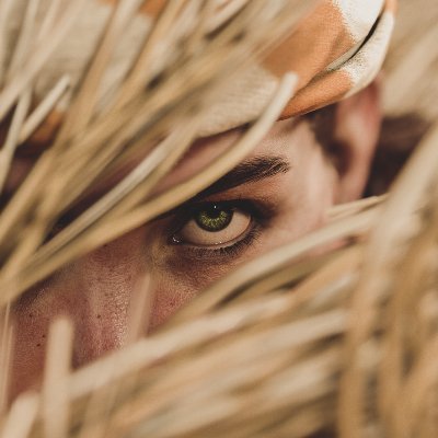 GamescapeV's profile picture. Virtual Photographer, sporadic poster, introvert and bird enthusiast. Mostly capturing #horizonforbiddenwest .