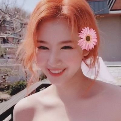 *·˚ ༘ ➳〔 for enhypen & twice〕࿐ ࿔*:🖇