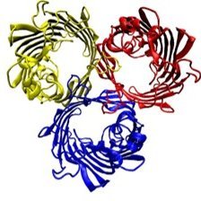 Biophysics_Uji's profile picture. 