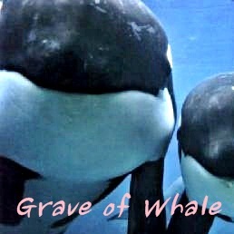 graveofwhale's profile picture. 