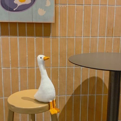 Codewxx's profile picture. :)