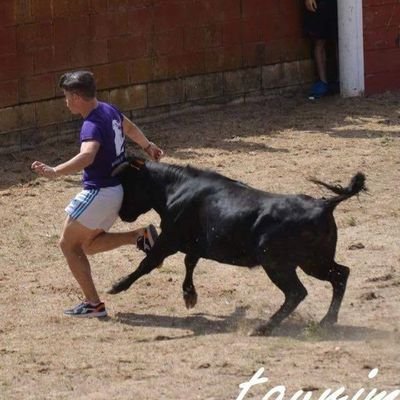 Yunquera de Henares.🏡
Real Madrid.💜🤍💜
Aficionado Taurino.🐂