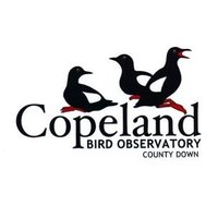 Copeland Bird Observatory (@copelandbirdob) 's Twitter Profile