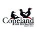 Copeland Bird Observatory (@copelandbirdob) Twitter profile photo Copeland Bird Observatory (@copelandbirdob) Twitter profile photo
