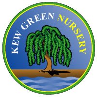 Kew Green Nursery(@KewGreenNursery) 's Twitter Profile Photo