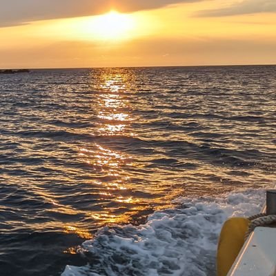 snanker868's profile picture. 釣船やってます。
2021年から遊戯王カード収集はじめました。