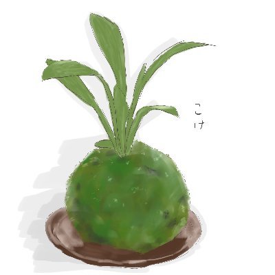 こけだまさんのプロフィール画像
